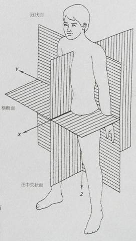 人体工程学基础-3、人体测量与人体尺寸