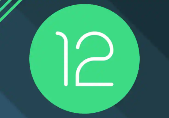 Android 12单手模式意味着即将推出“Pixel 6 XL”吗?